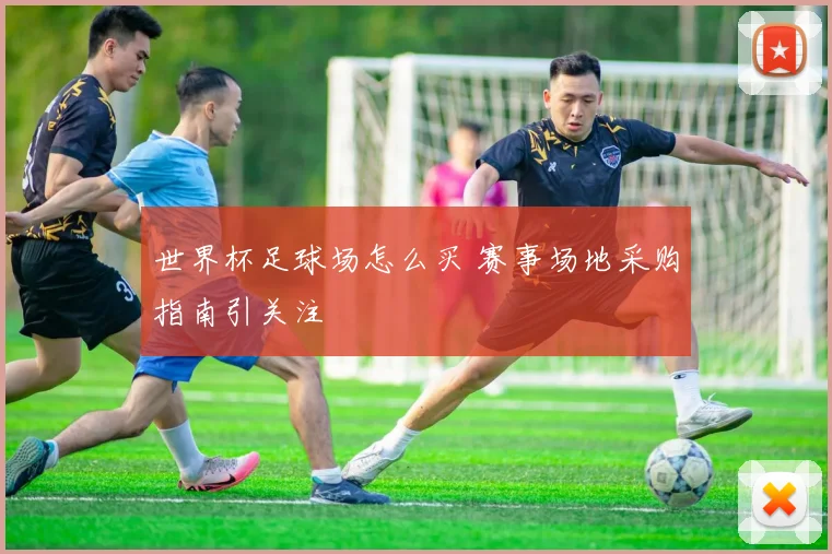世界杯足球场怎么买 赛事场地采购指南引关注