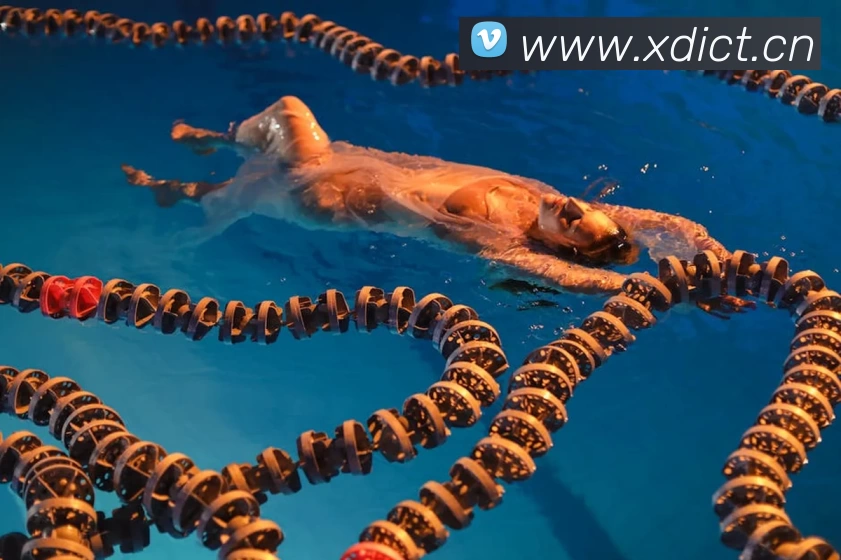 2006年世界杯比分表回顾 小组赛到决赛全场结果一览与晋级走势